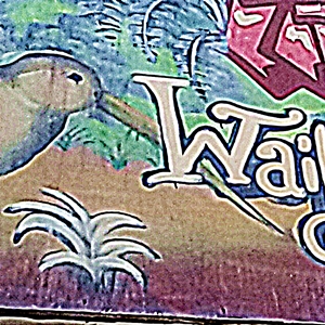waikato uni kiwi square
