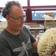 Associate Professor Ian Duggan