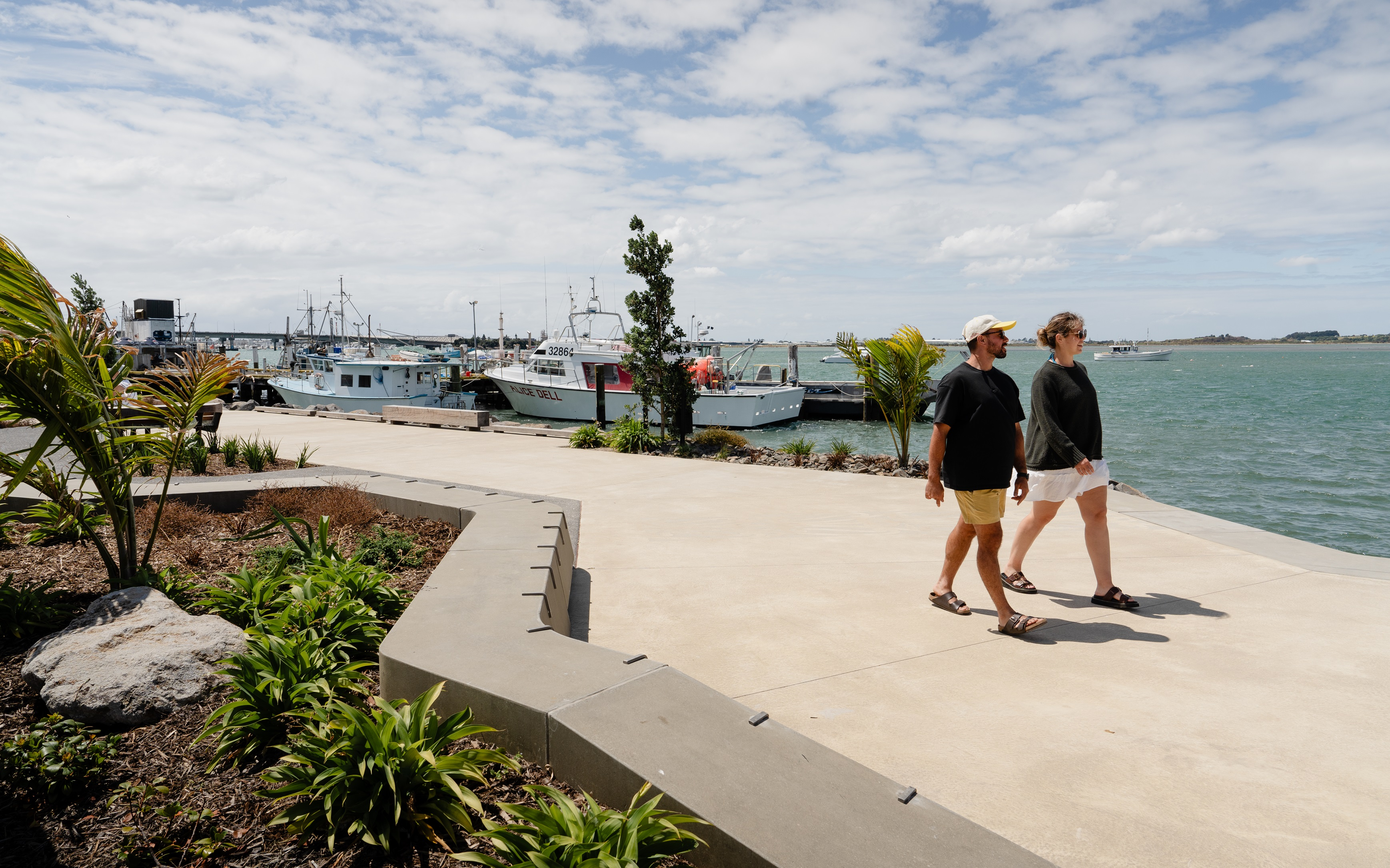 Tauranga waterfront boardwalk