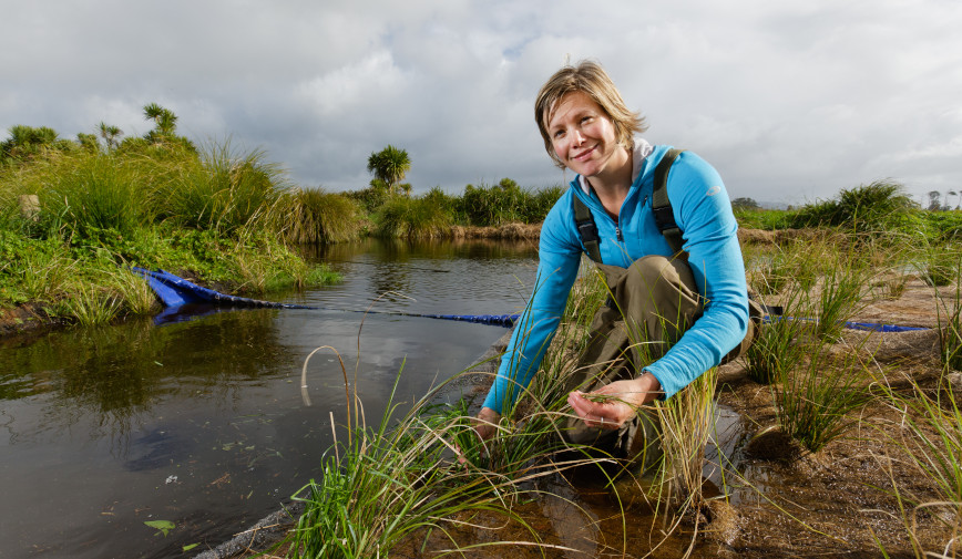 wetlands tiled