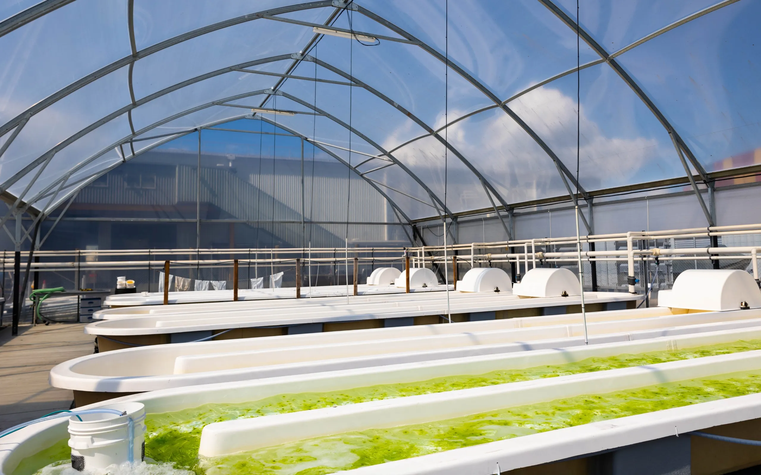 building sustainable and inclusive economic systems for high value growth