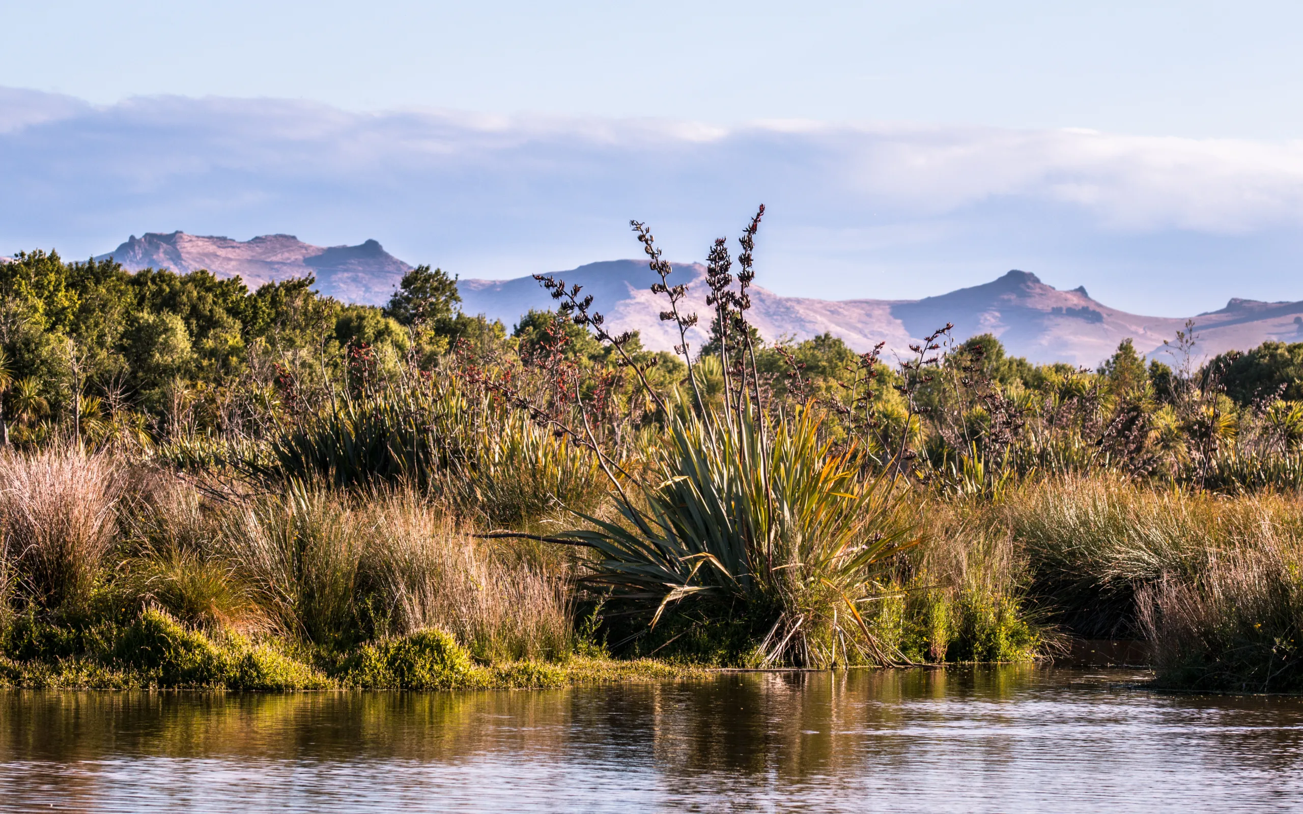 learning from matauranga maori