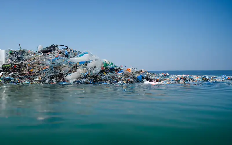 protecting our aquatic and polar ecosystems 800px