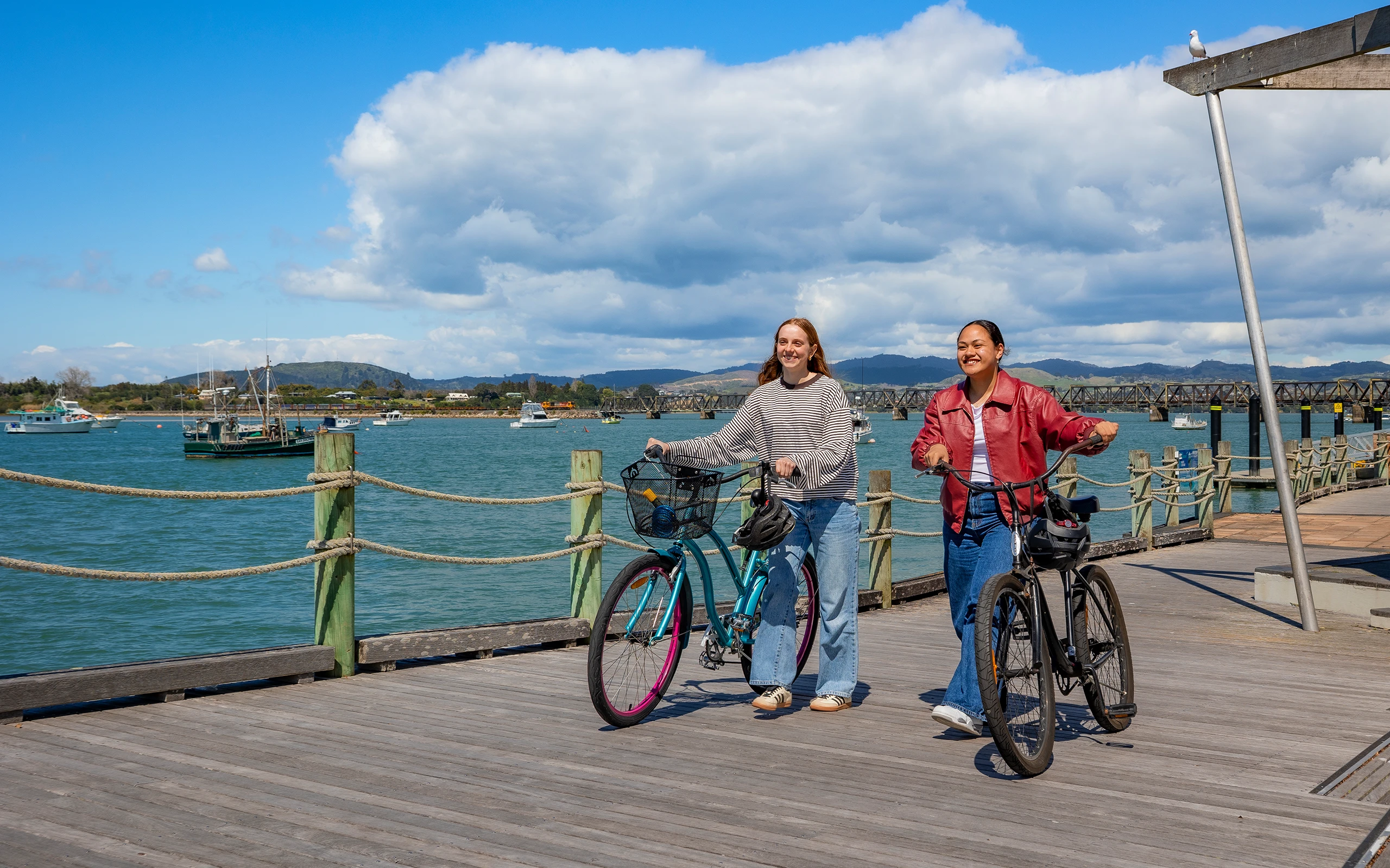 Tauranga students walking waterfront strand bikes