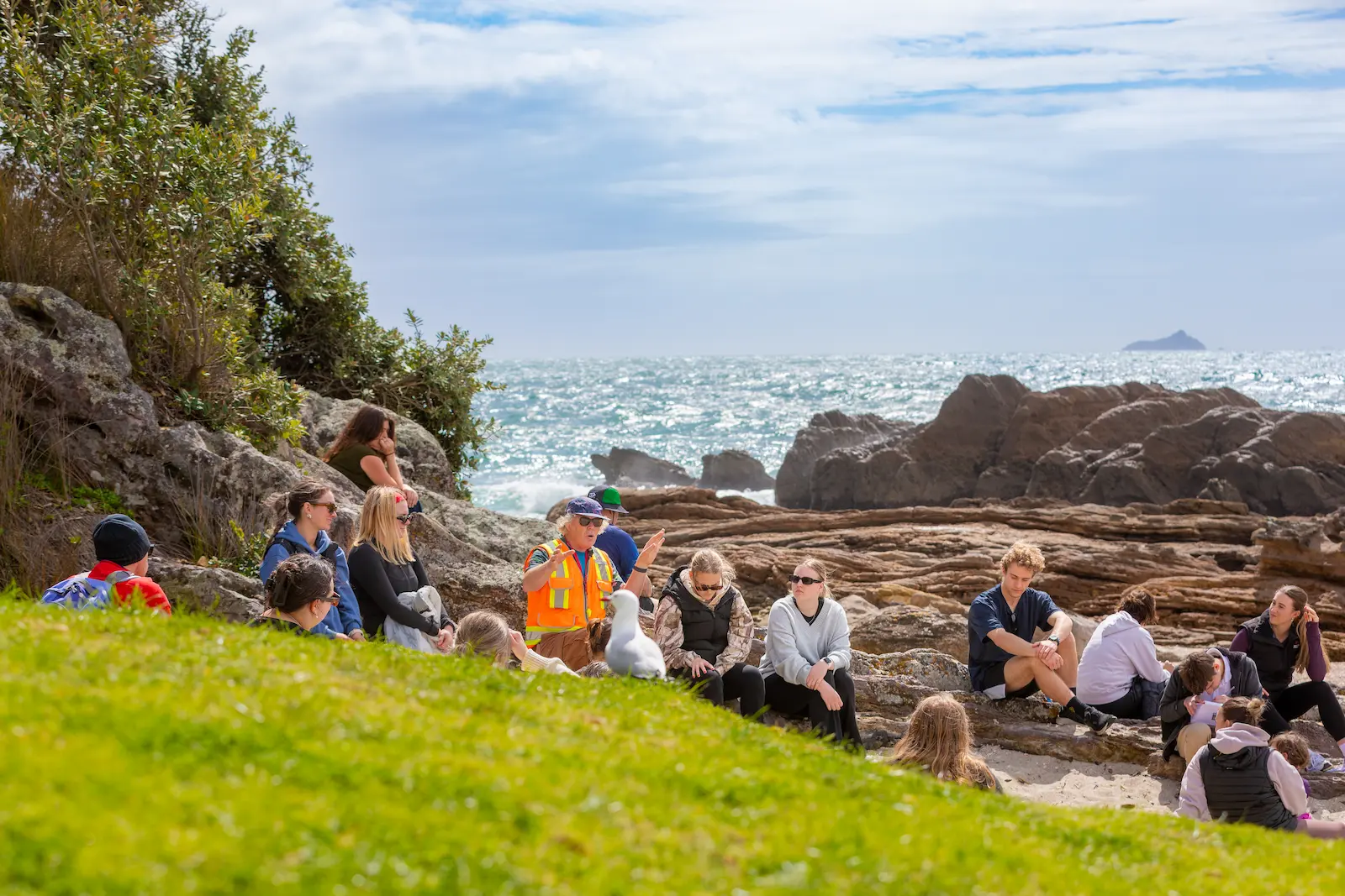Tauranga Beach Study Field Trip