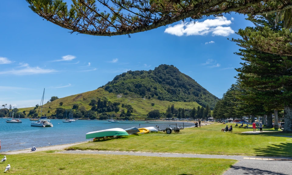 Tauranga campus exterior landscape