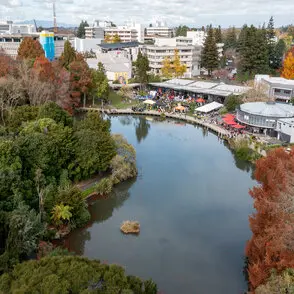 sdg11 campus grounds