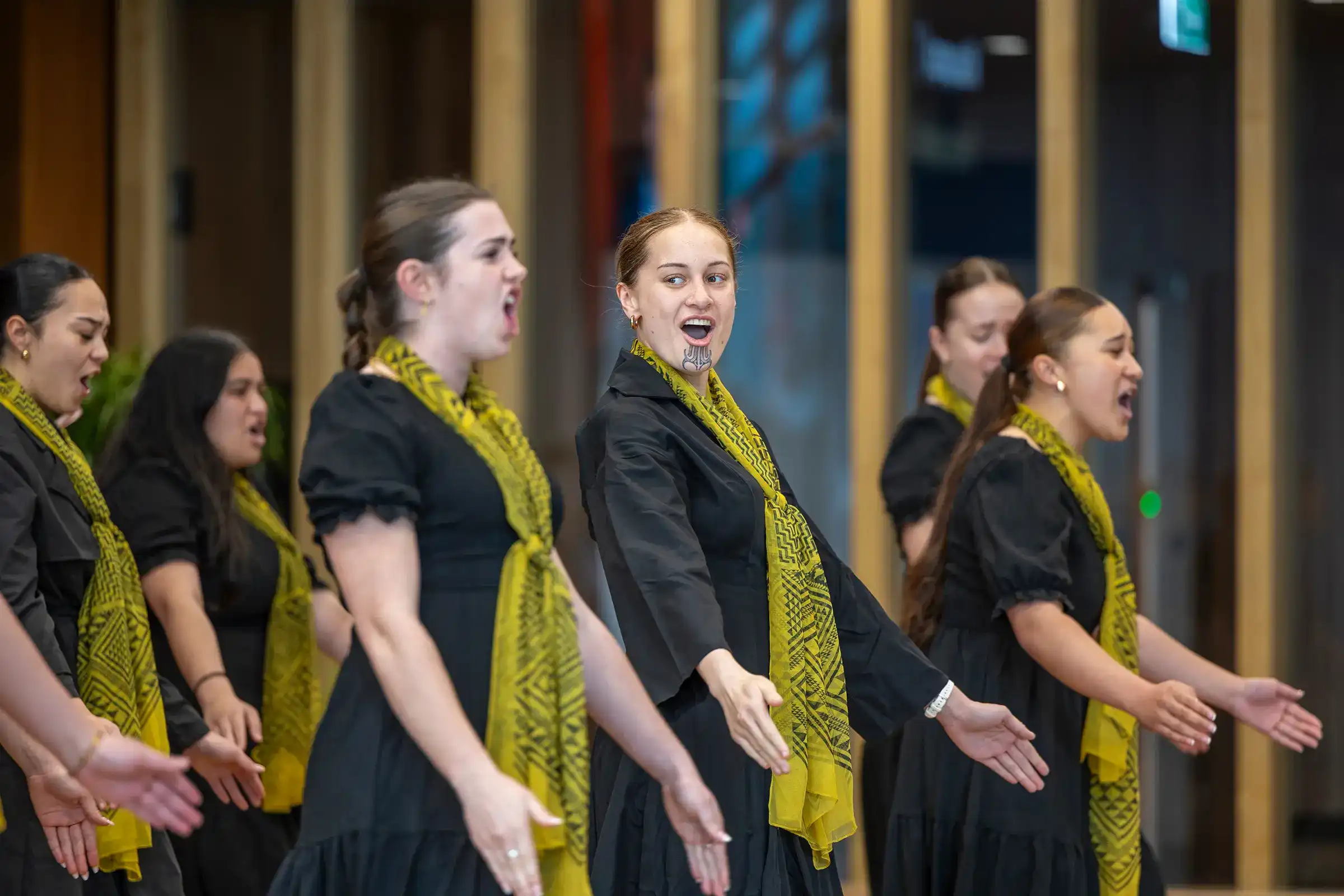 Māori and Indigenous Studies  28535