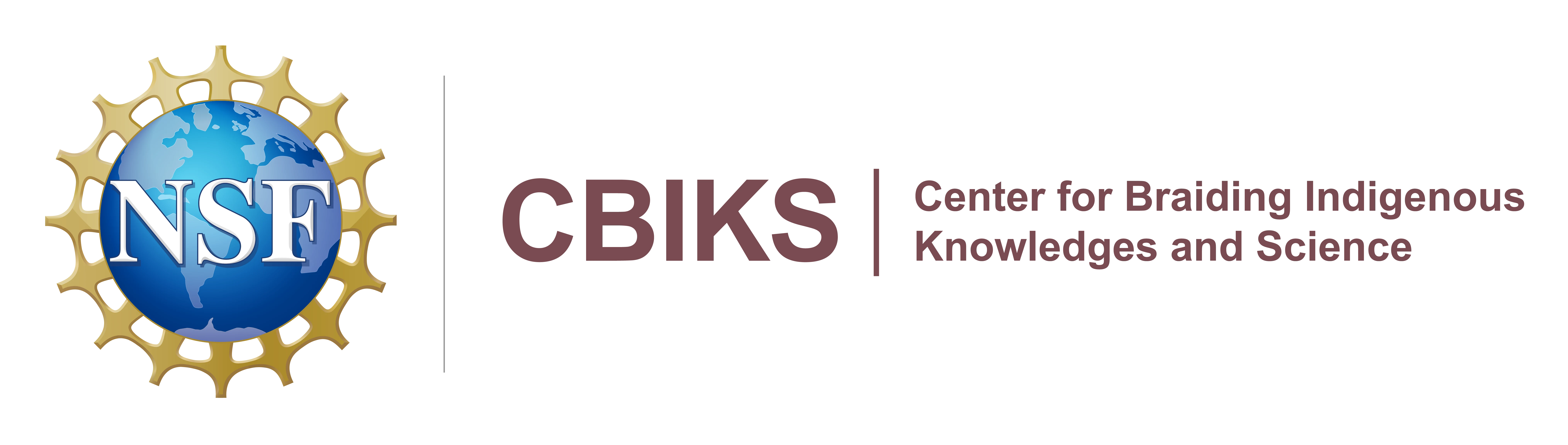 NSF CBIKS Logo Lockup RGB Maroon