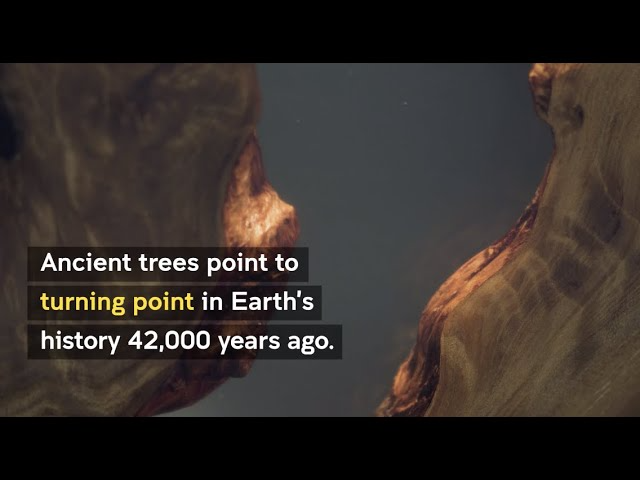 20210219 News Earths magnetic field broke down 42000 years ago and caused massive sudden climate change