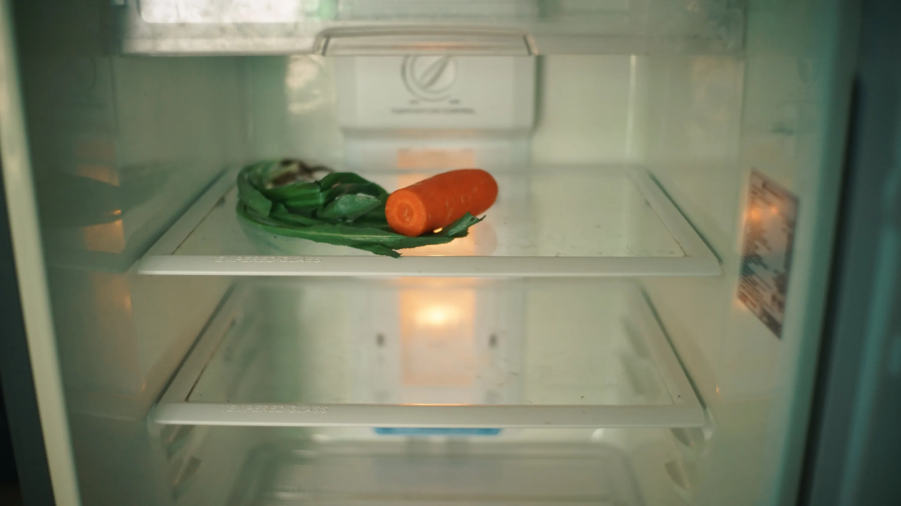 empty-fridge