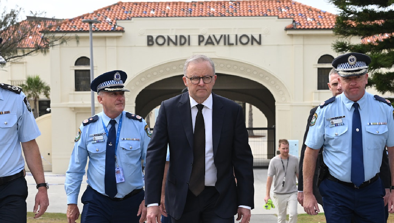 Conversation   Bondi