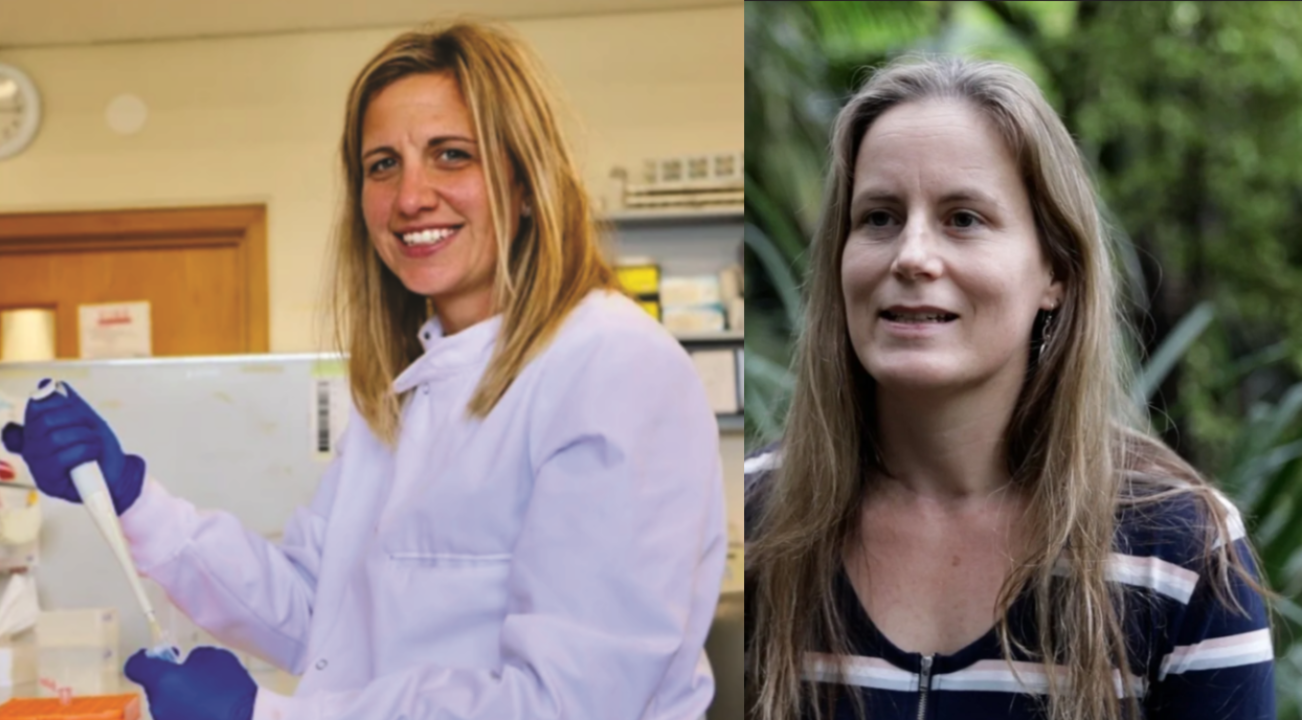 Dr Hicks and Dr McGaughran