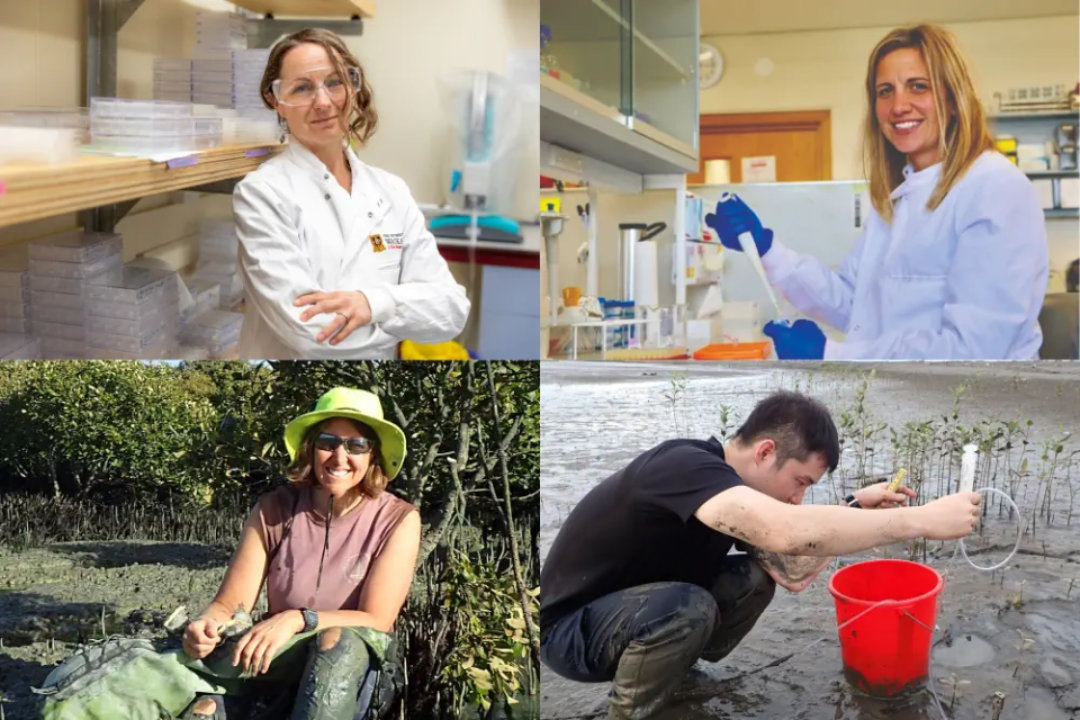 research funding 2 row 2025 (1)