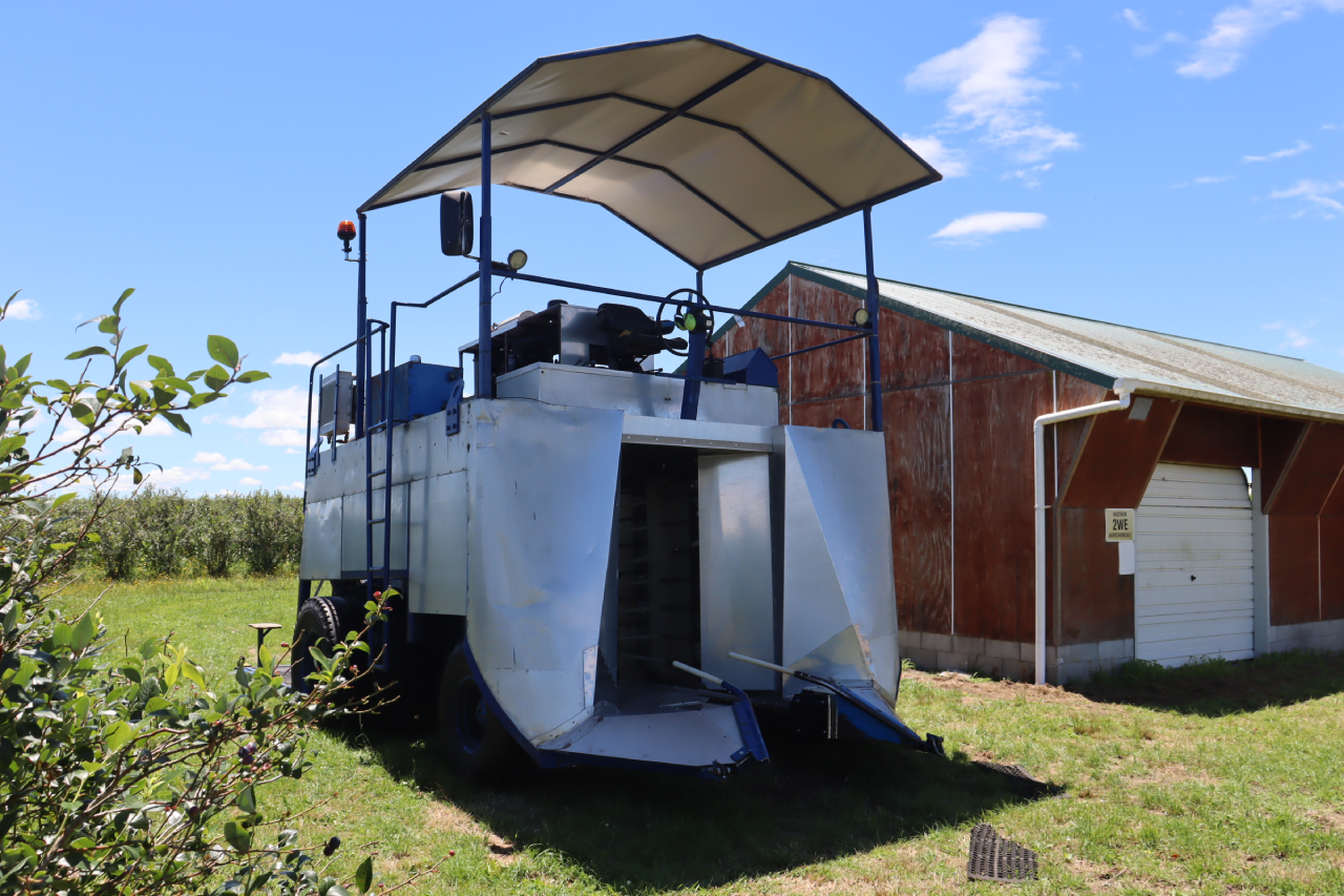 blueberry harvester 