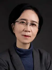 Professor Xu Honggang