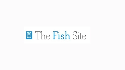 new fish site logo