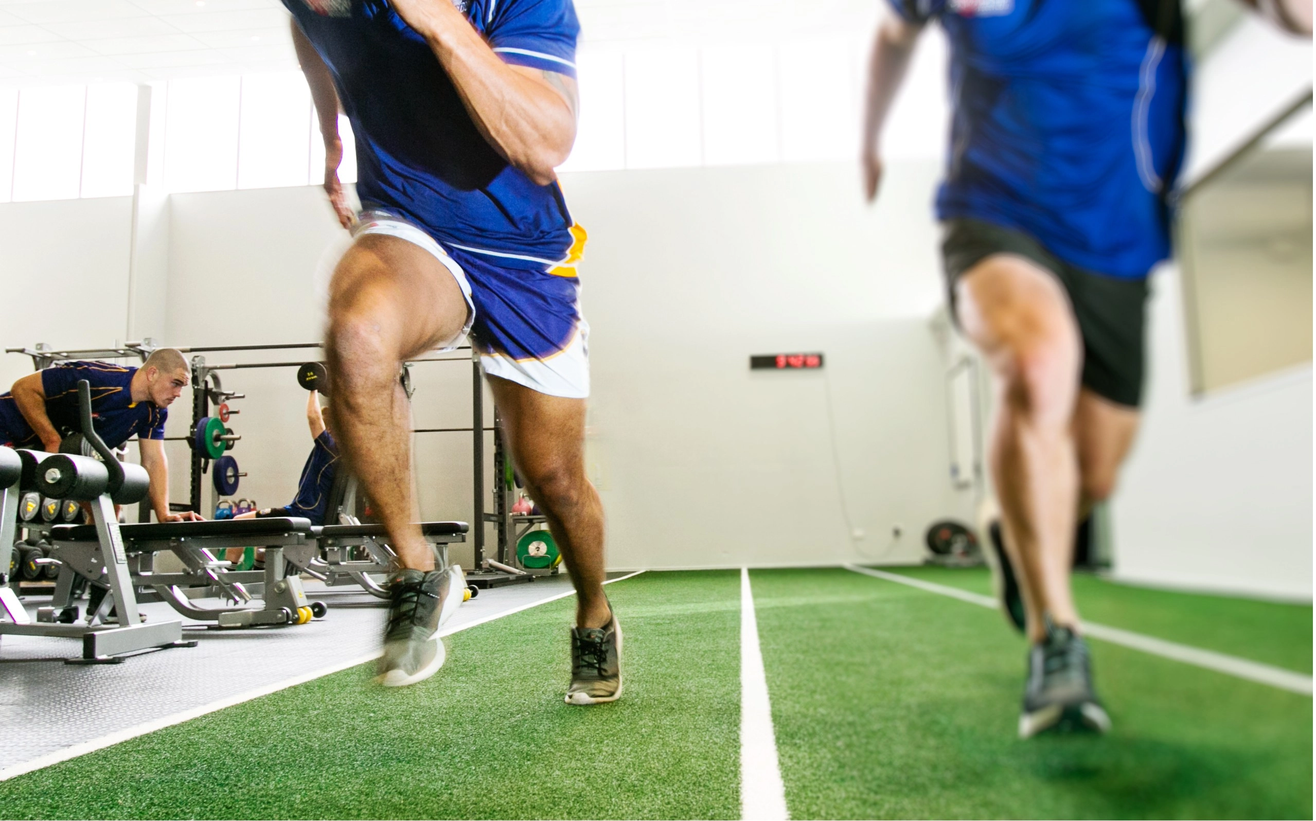 sports science