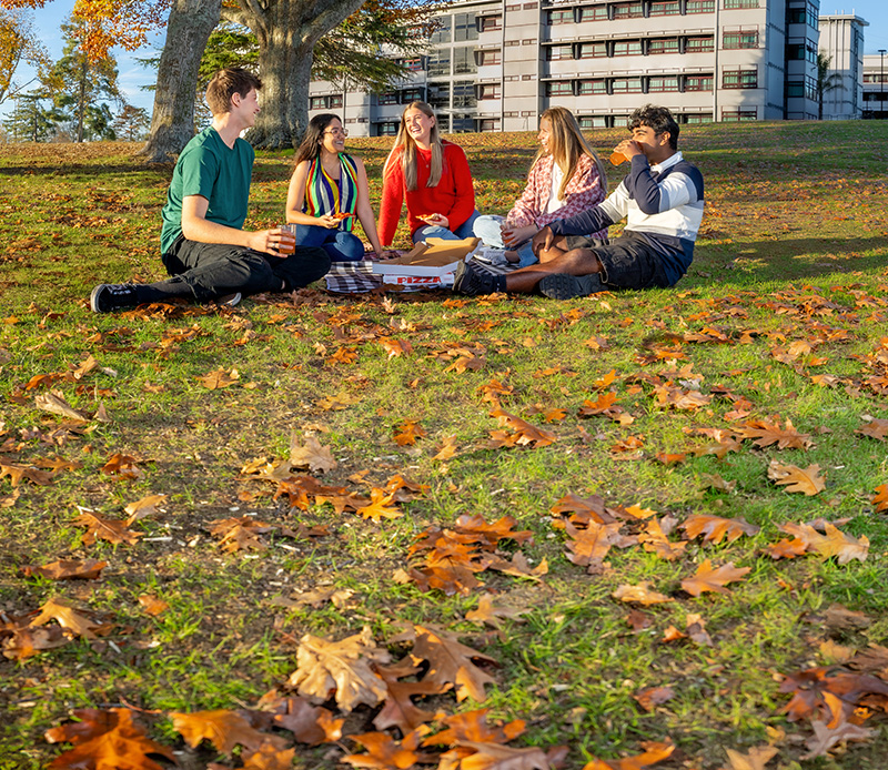 9077 Web Banner Accommodation Mobile
