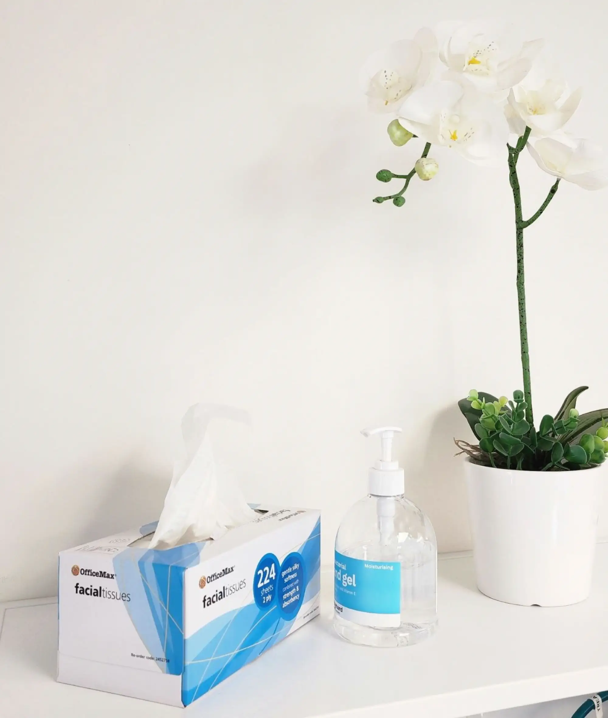 common health concerns small 1 1x