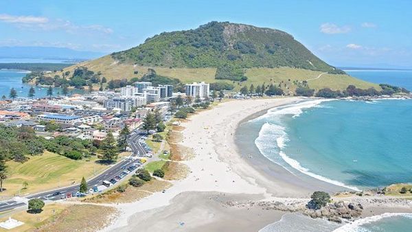 Tauranga Tile