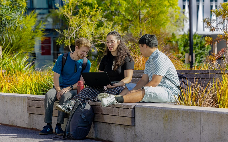 Students on campus talking through assignments on a bench