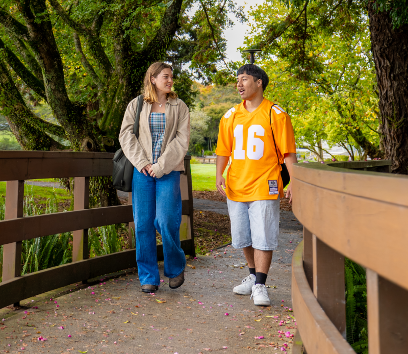 students walking on bridge by gapa mobile