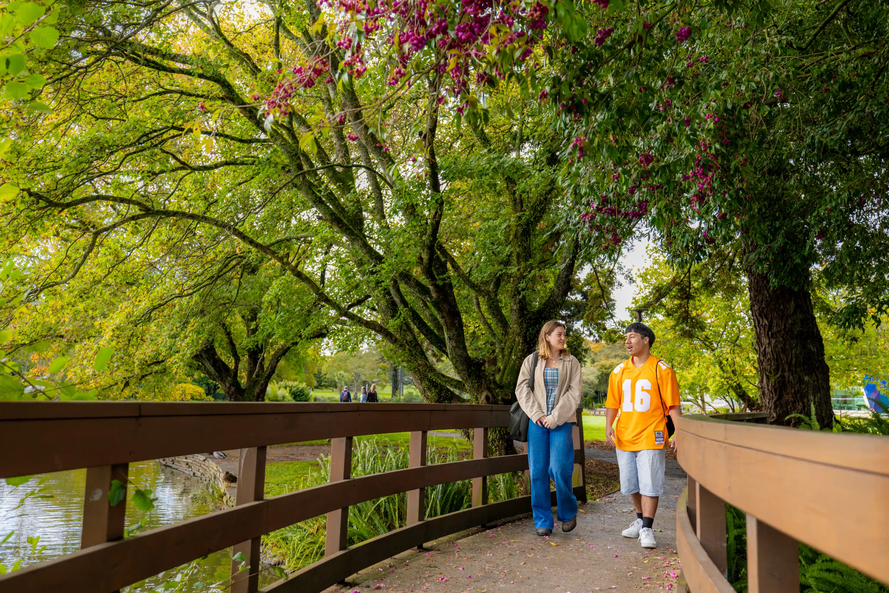 students walking on bridge by gapa desktop