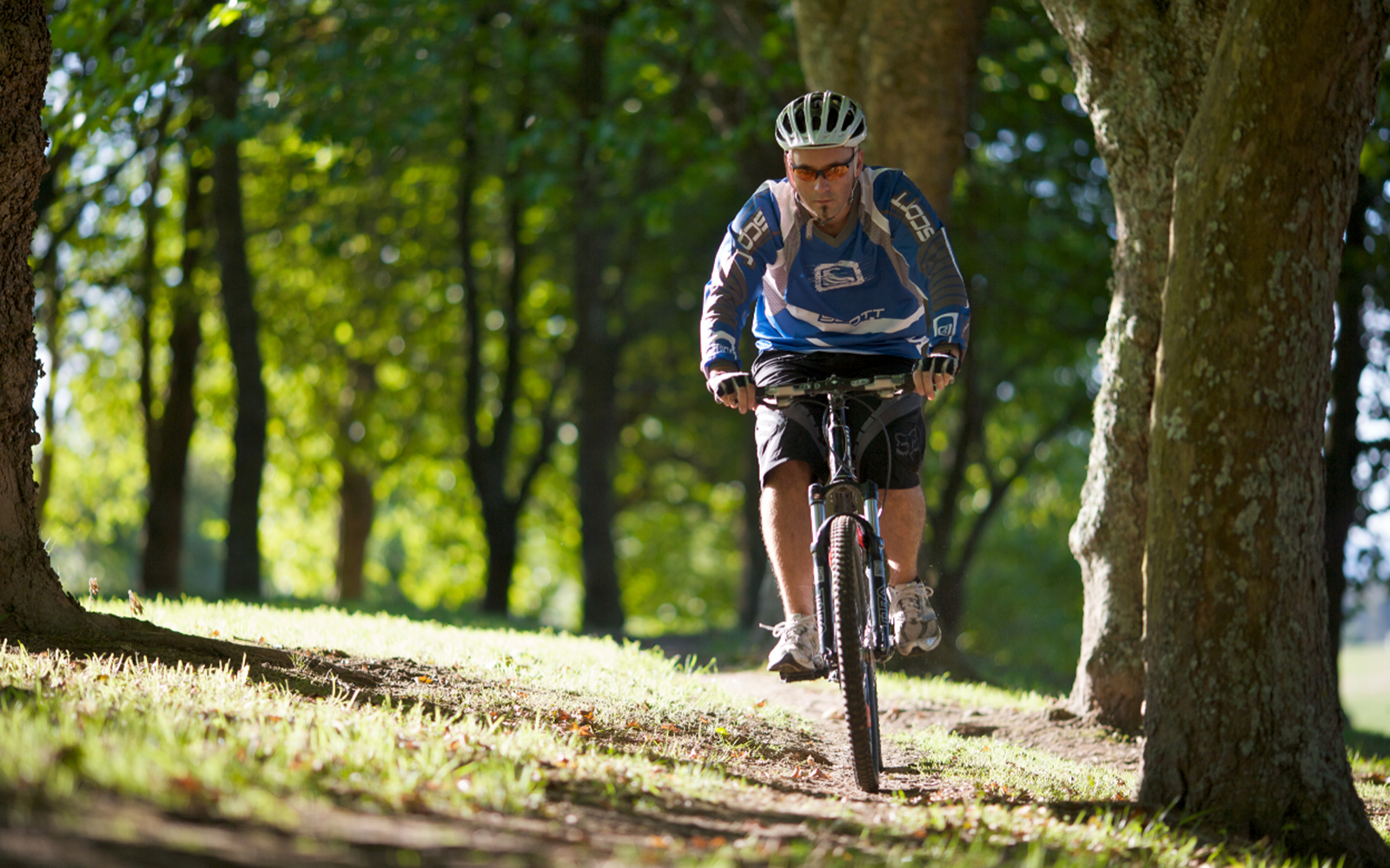 bike trail