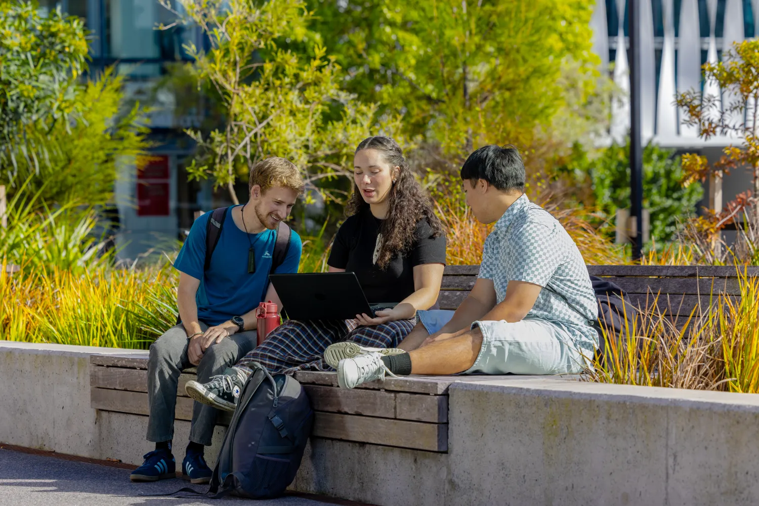 students-studying-outside-the-pa