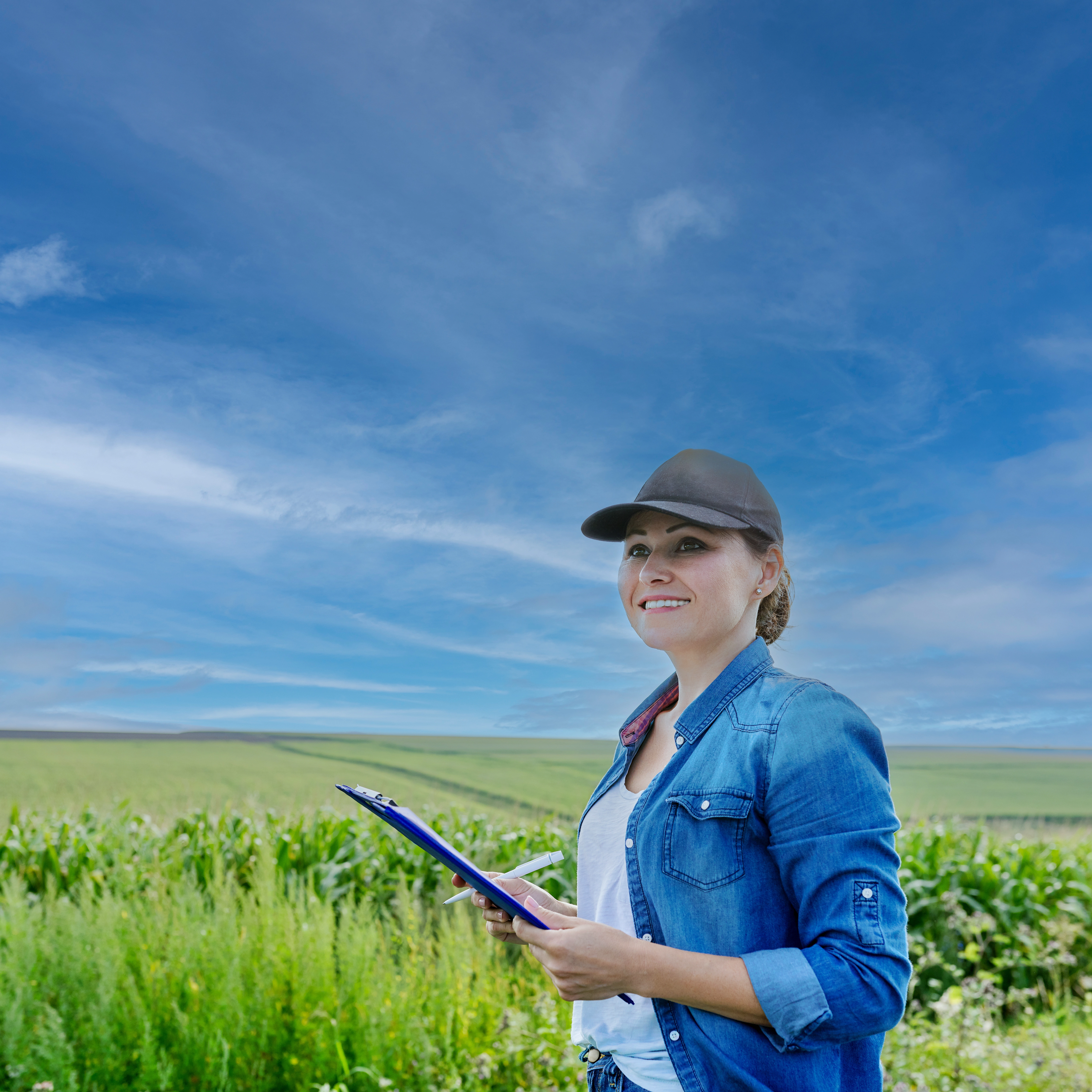 soil science